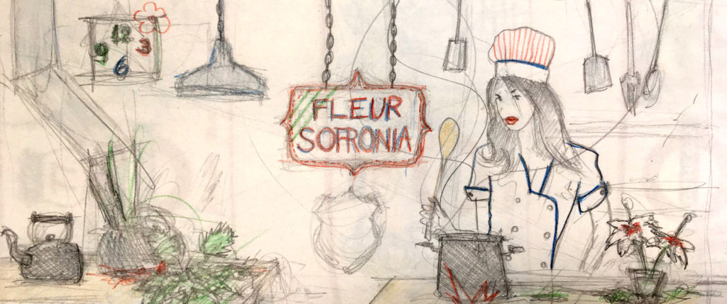 fleursofronia sketch